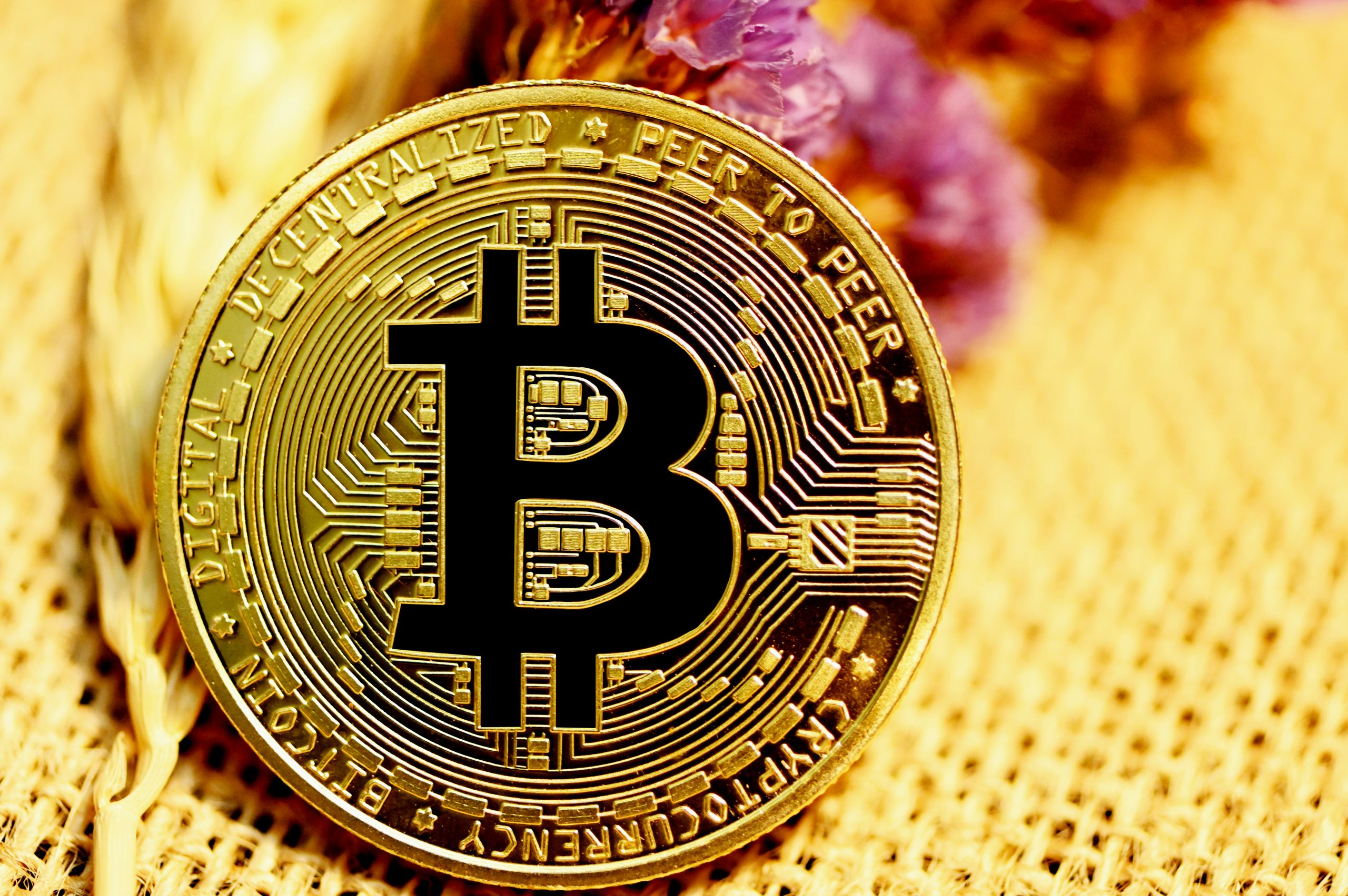 Bitcoin Vale a Pena Investir? O que Ninguém te Conta Antes de Comprar